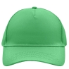 5 Panel Cap Lime Green MB6117